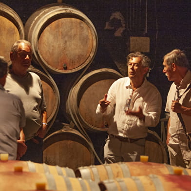 Gevrey Underground: 1,000 years of winegrowing history
