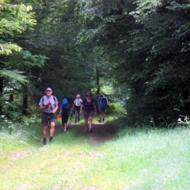 The Charolais Pavé Walk