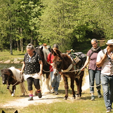 One day walking tour with donkey, horse and pony