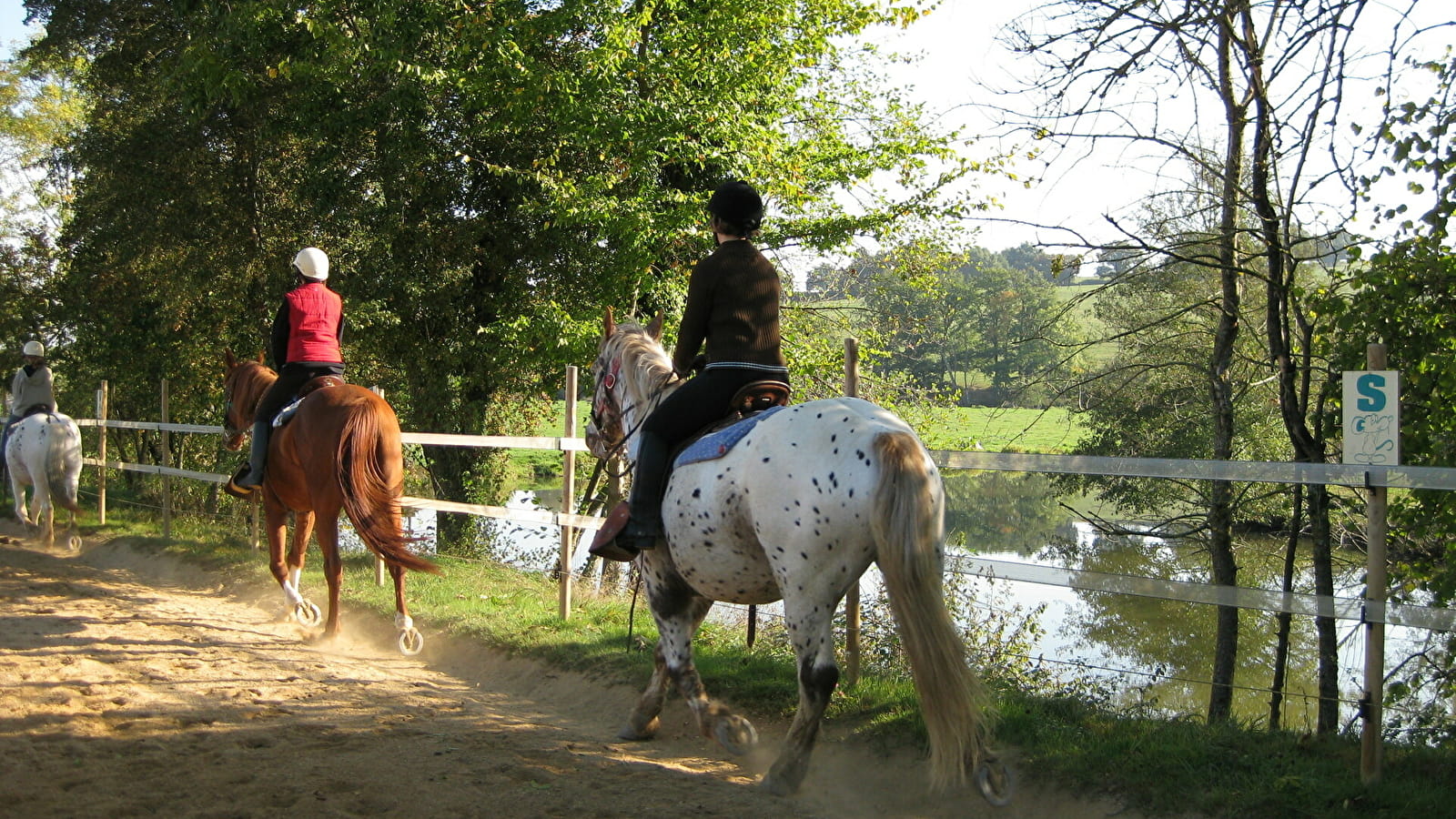 Horse-riding Stay for Adults