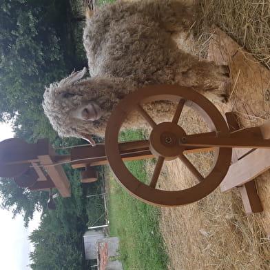 Workshop on the farm with Angora goats and wool