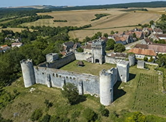 Château-Fort des Comtes d'Auxerre et de Nevers - DRUYES-LES-BELLES-FONTAINES