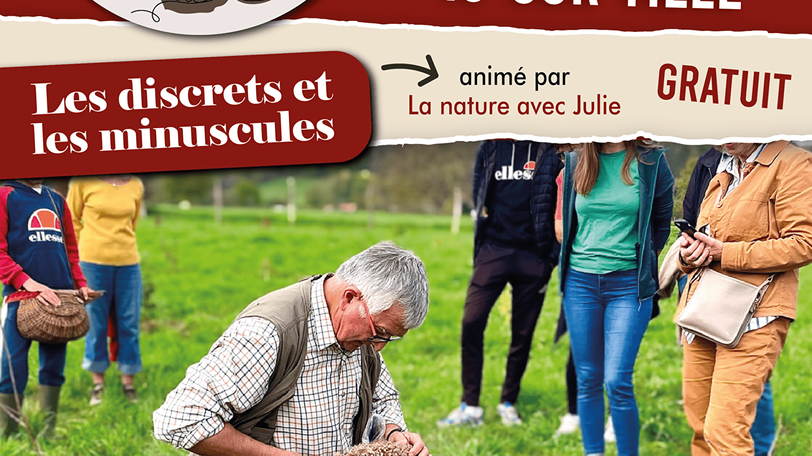 Animations at the truffle field: the discreet and the tiny