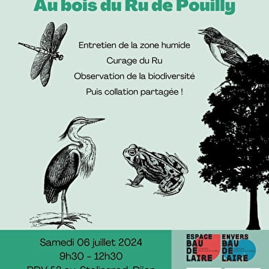 Nature work camp in the Ru de Pouilly woods_ENS2024