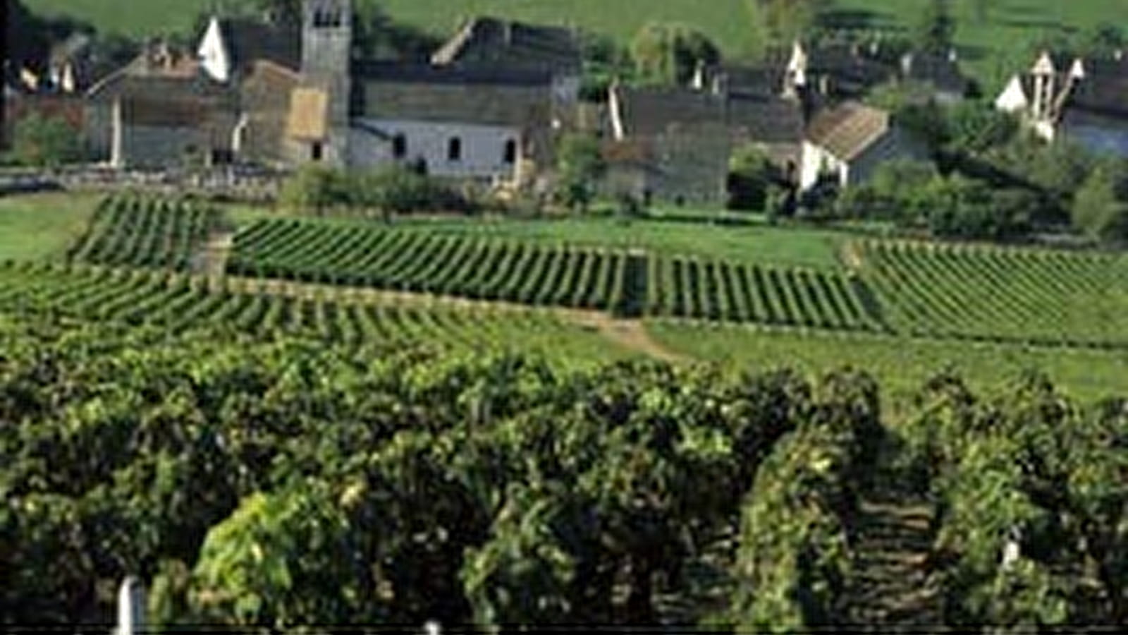 The Tourist Road through Burgundy's Celebrated Vineyards