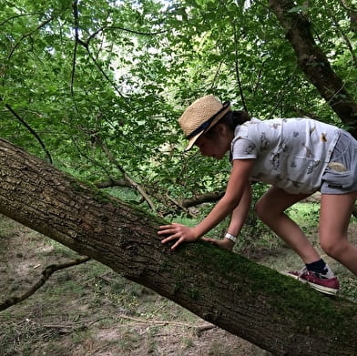 Les Aventuriers du Milieu de Loire - Nature day for 6-12 year olds