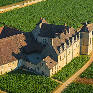 Château Vélo Vino en Côte de Nuits