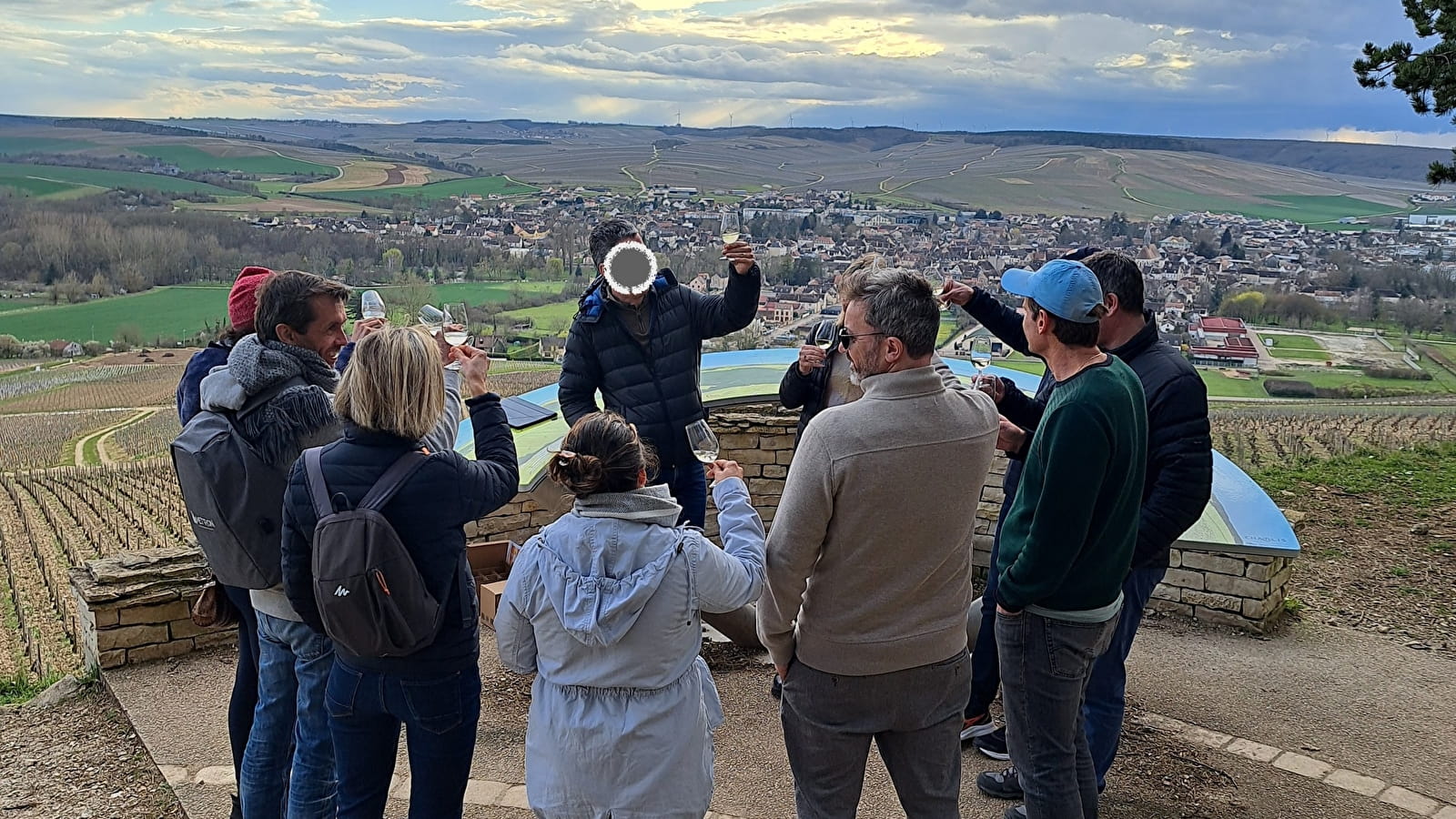 Guided tour of the Chablis vineyards