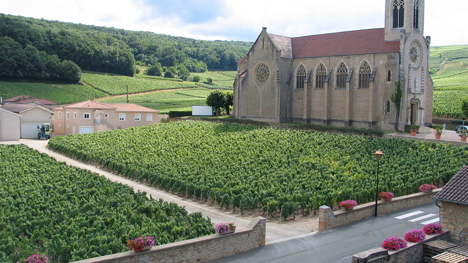 Vignobles & Découvertes Thursdays - Visit and tasting in a vineyard