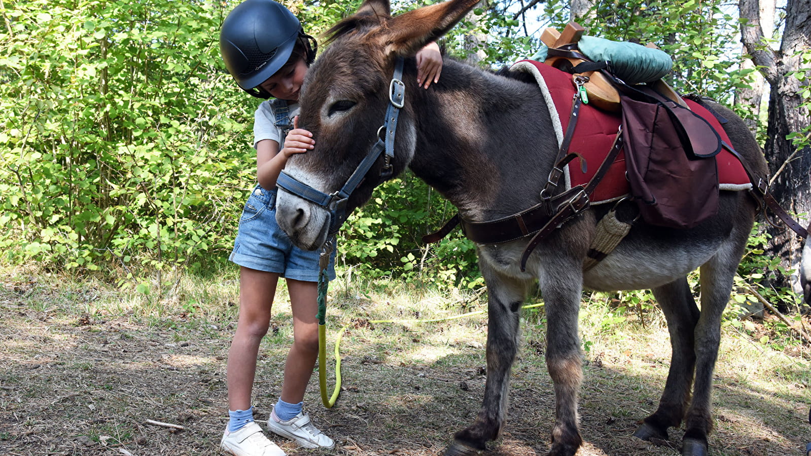  Guided donkey rides