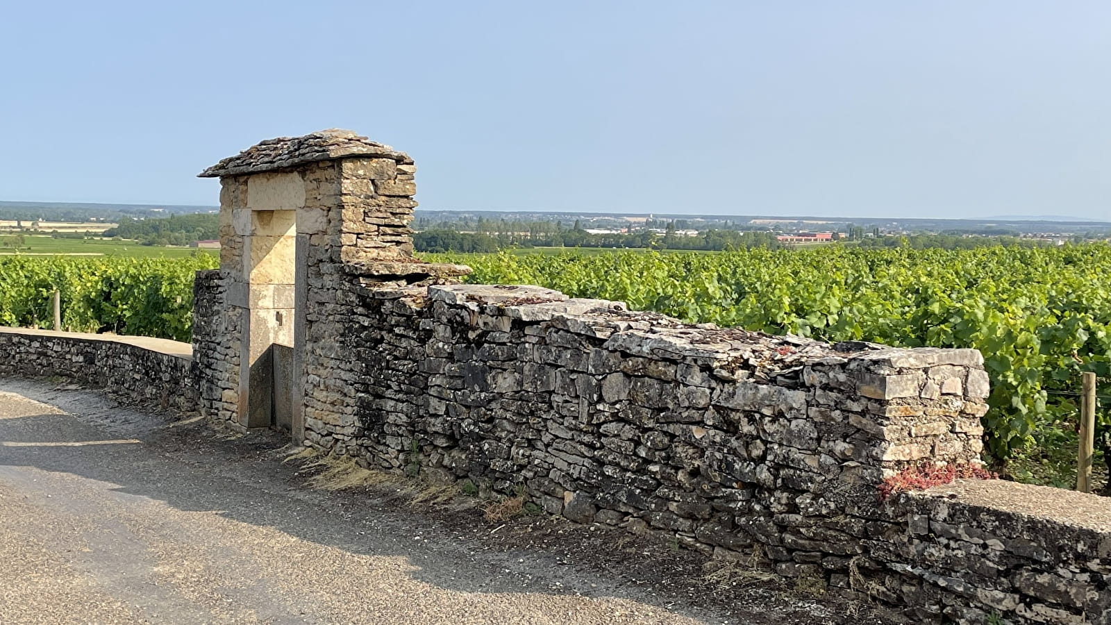 Volnay, the Dukes of Burgundy and Thomas Jefferson
