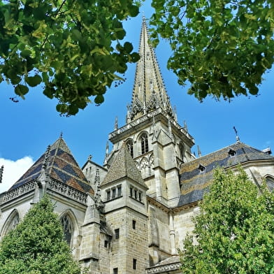 Saint-Lazare cathedral and its neighbourhood