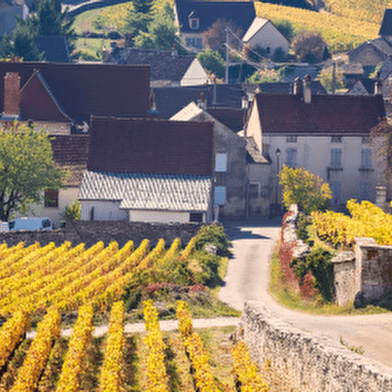 Discovering the vineyards and canals of Burgundy