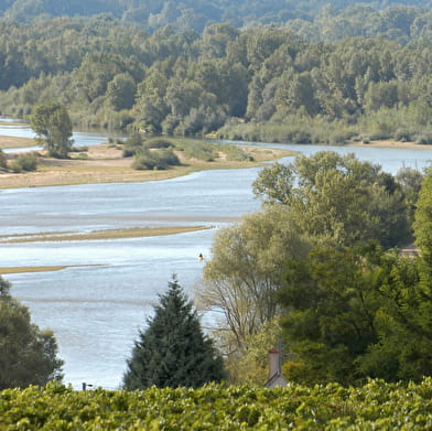 Réserve Naturelle du Val de Loire