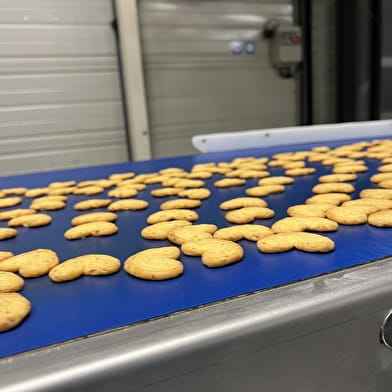 Visit the Bon Vivant factory and taste the biscuits