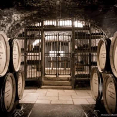 Nuits Underground: Cellars & Wineries, past and present
