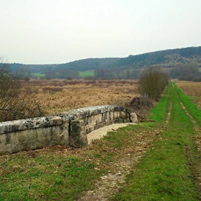 The Andryes Marsh Trail 