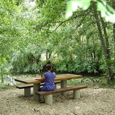 Aire de pique-nique de l'étang de loisirs de Charny
