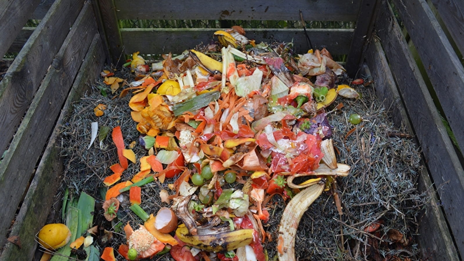 Organic waste, a treasure for the garden. Introduction to composting.
