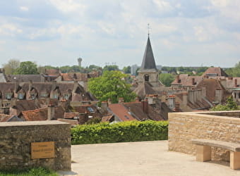 Ville de Châtillon-sur-Seine - CHATILLON-SUR-SEINE