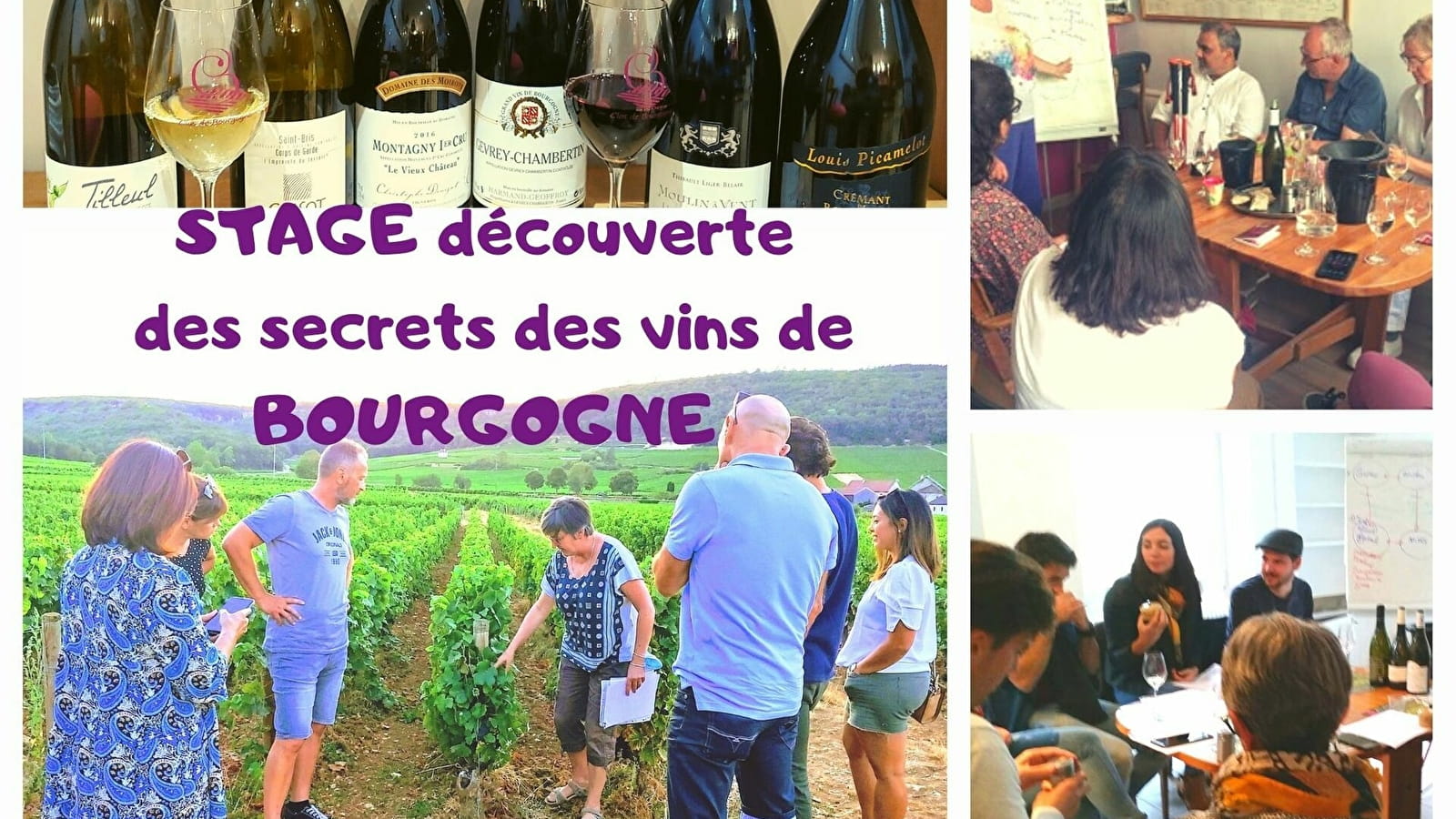 Course 'Discovering the secrets of Burgundy wines'.