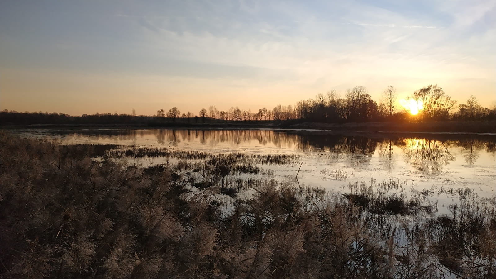 The twilight birds of the Pontoux pond