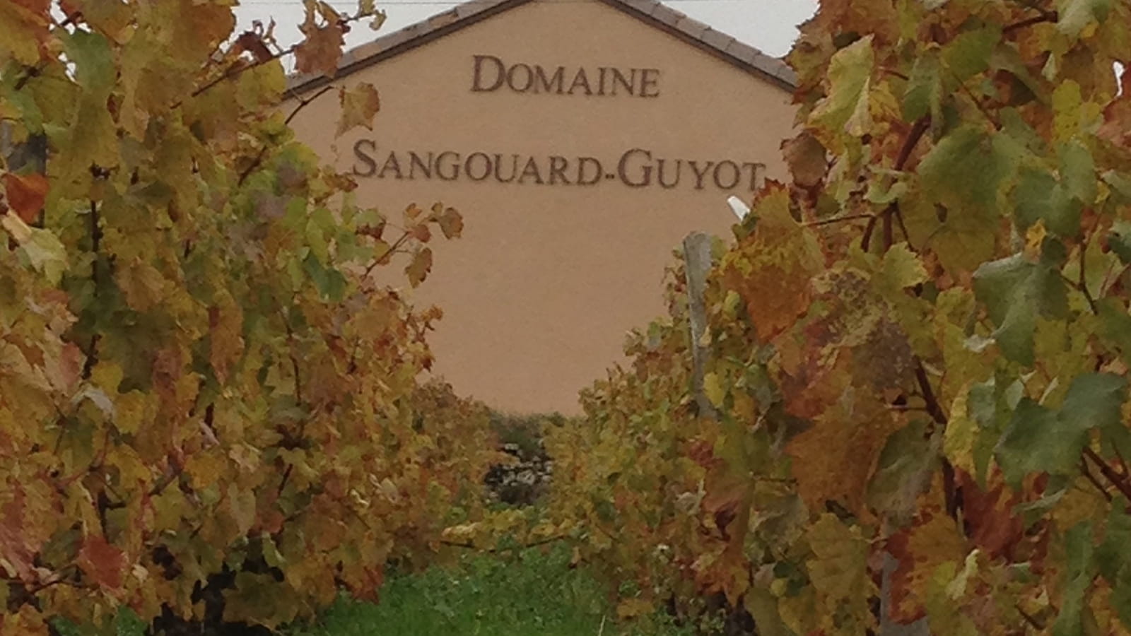 Sangouard-Guyot