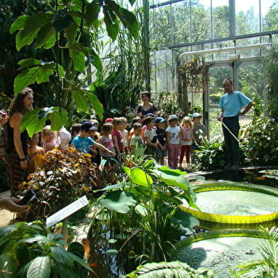 Parc du Moulin à Tan et Serres de Collections Tropicales