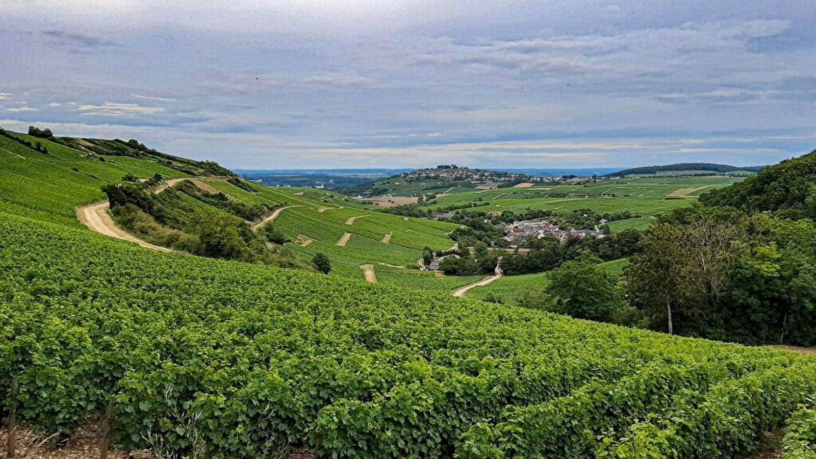 Workshop - Wine tasting: The Loire Valley
