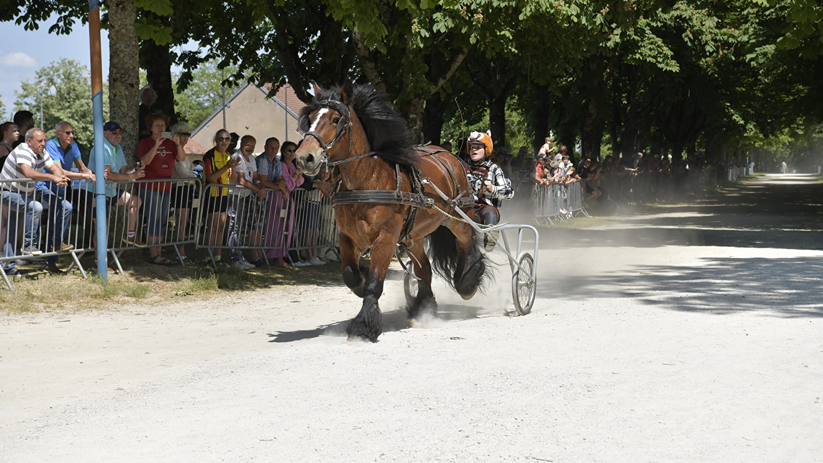 Timbale Race - Ring Festival