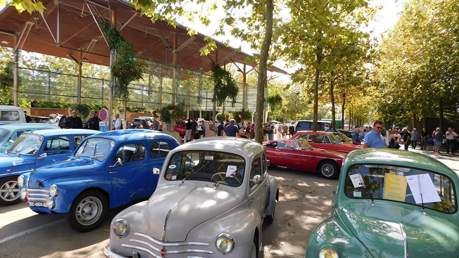 Gathering of classic and vintage vehicles