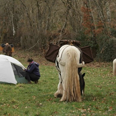 Hiking - Three-day bivouac on foot with donkey, horse and pony