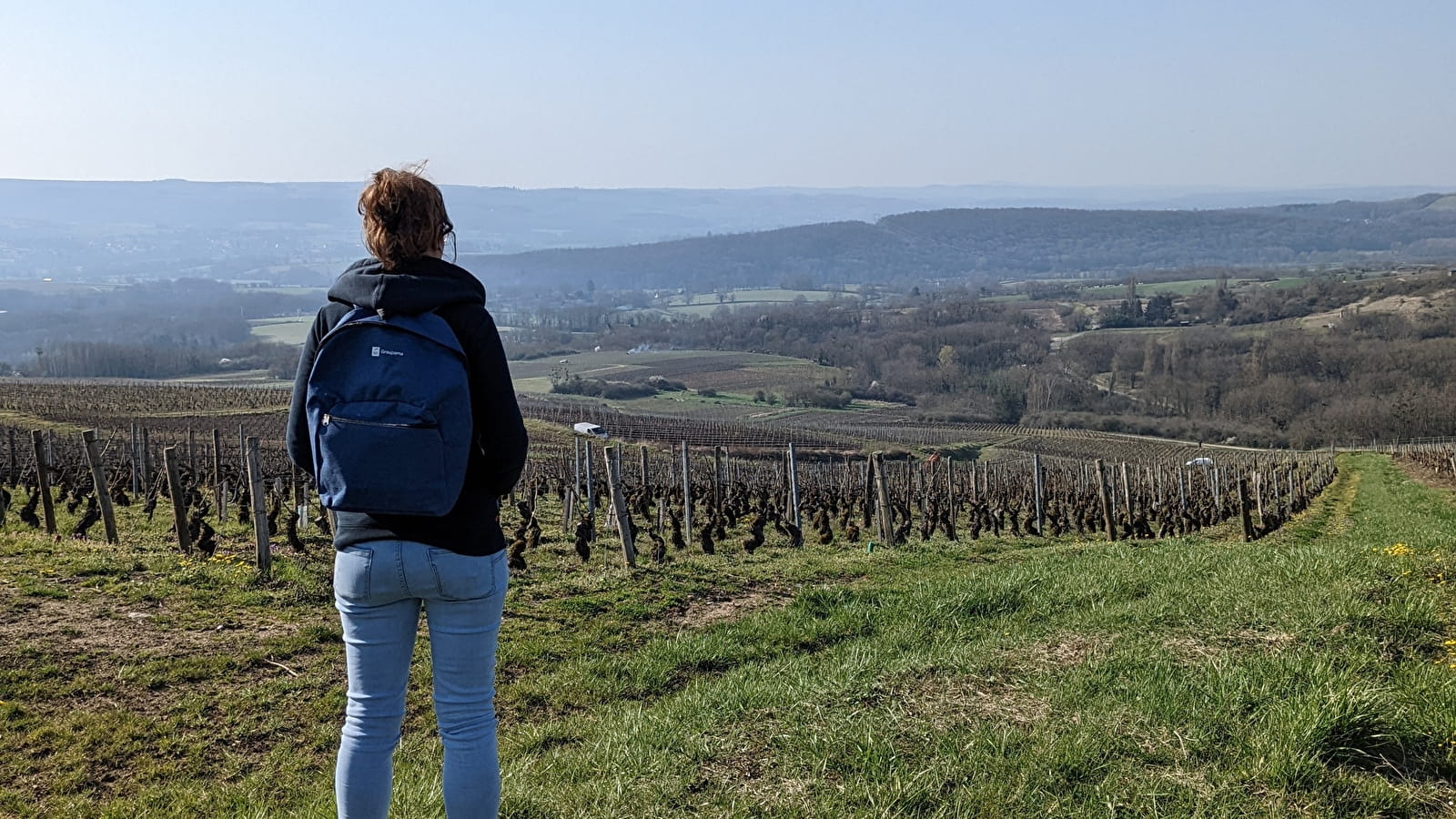 Picnic in the vineyard - Domaine du Beauregard