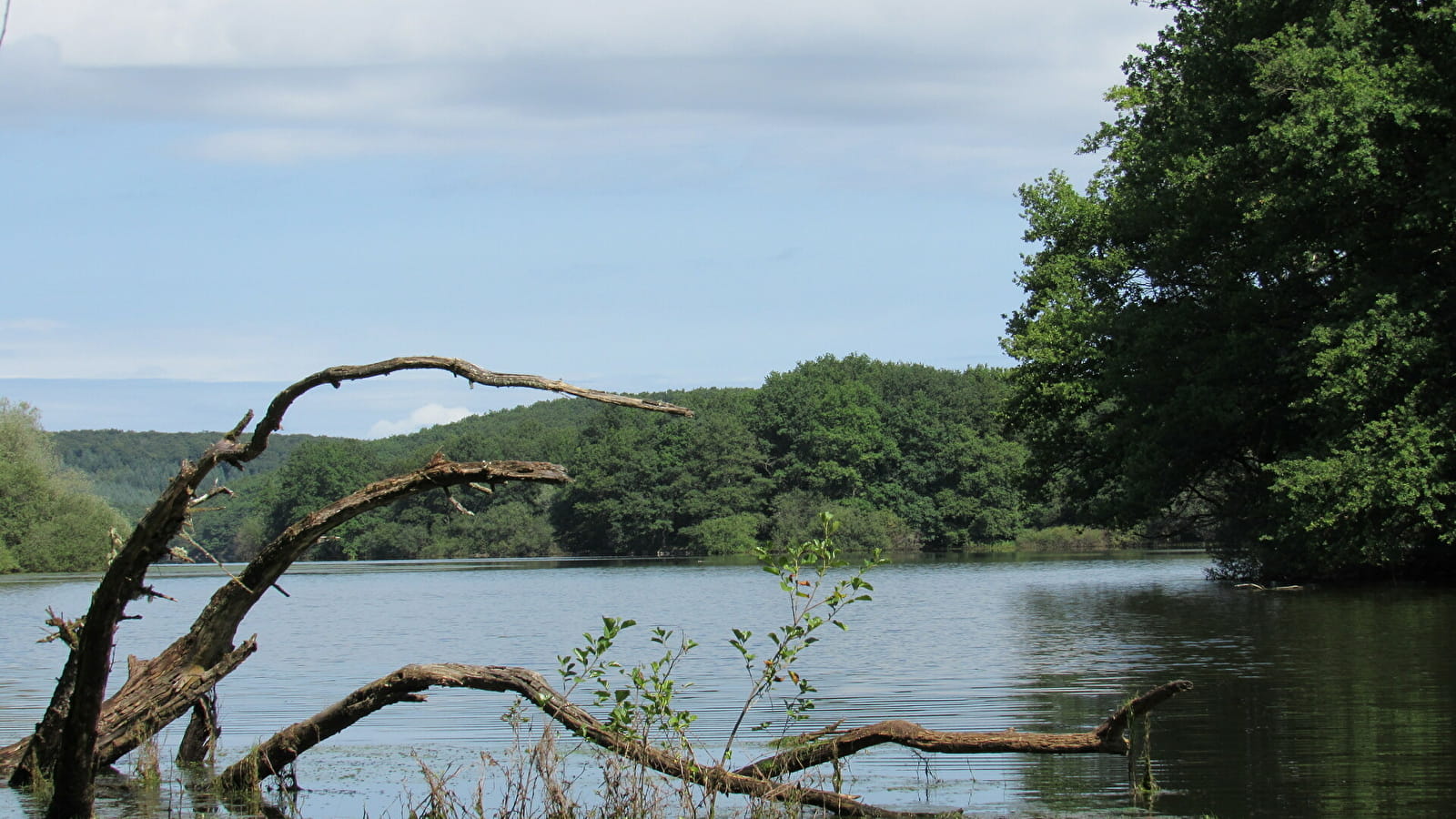 Biodiversity in the Pont du Roi reservoir