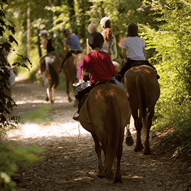 Horse riding in the Vézelien region