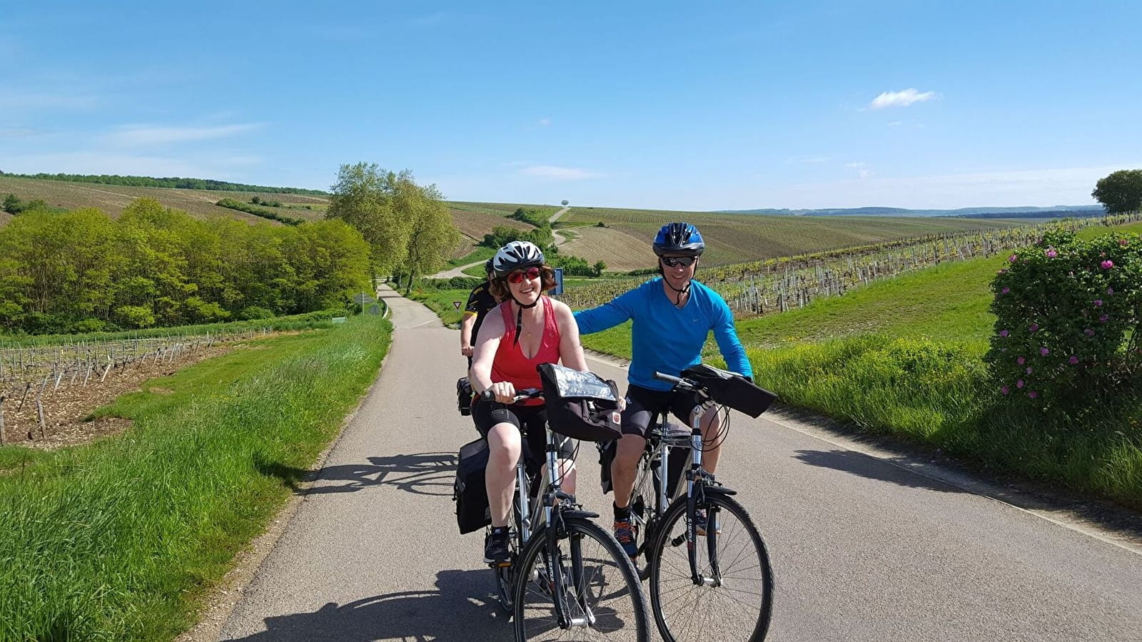 Cycling tour - Lavoirs and churches in the Chablis region
