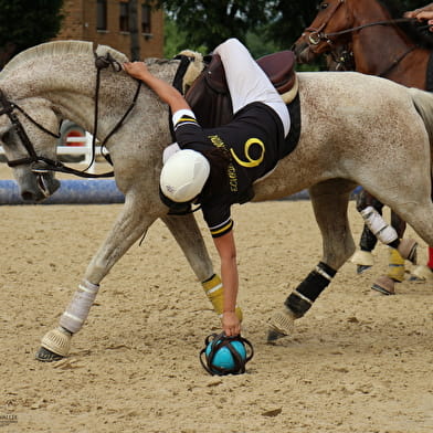 French Championship - Women's Horse Ball