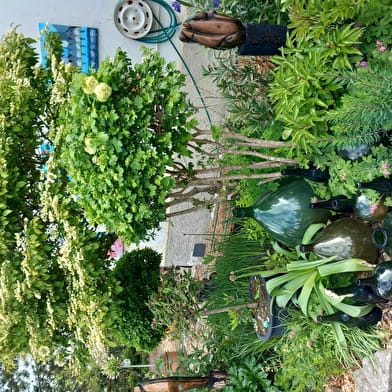 Rina Van Gelder Garden