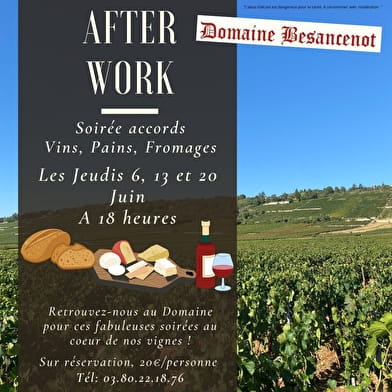 Afterwork in the vineyards