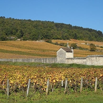 clos de Bourgogne