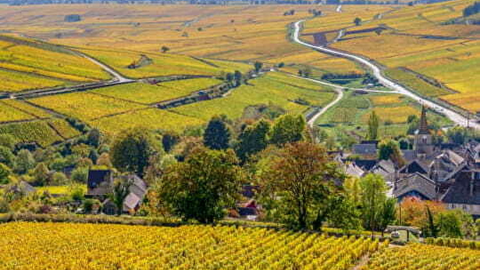 Wine and Tours - Stay in Côte de Beaune - 1 day / 1 night