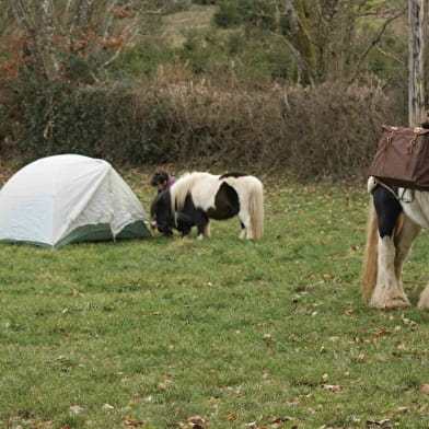 Hiking - Three-day bivouac on foot with donkey, horse and pony