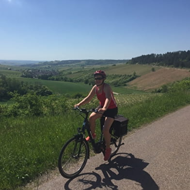 Guided cycling day - Auxerrois and Chablis vineyards