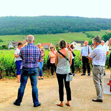 Discovering the 'secrets of Burgundy wines' workshop