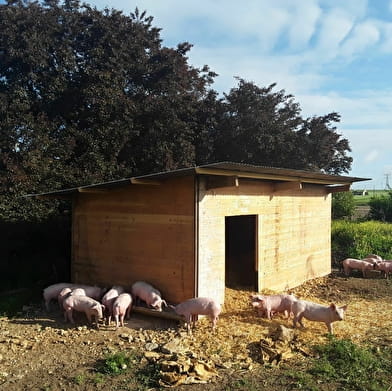 Ferme du Grand Ouche , production de porc