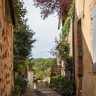 From the cobbled streets of Toucy to the trognes of the Bois des Quatre Francs