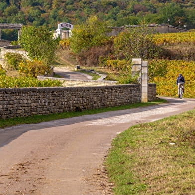 Location de vélo à assistance électrique - Nuits-Saint-Georges