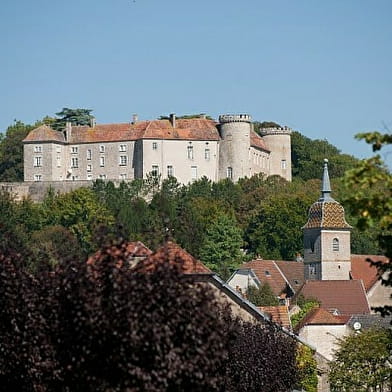 Chateau de Ray-sur-Saône