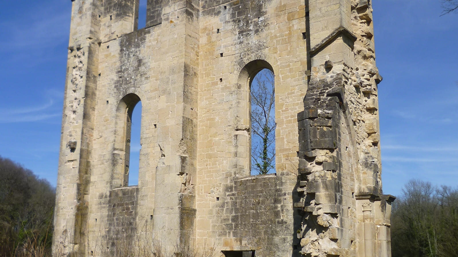 Visite guidée des vestiges de l'Abbaye de Cherlieu 