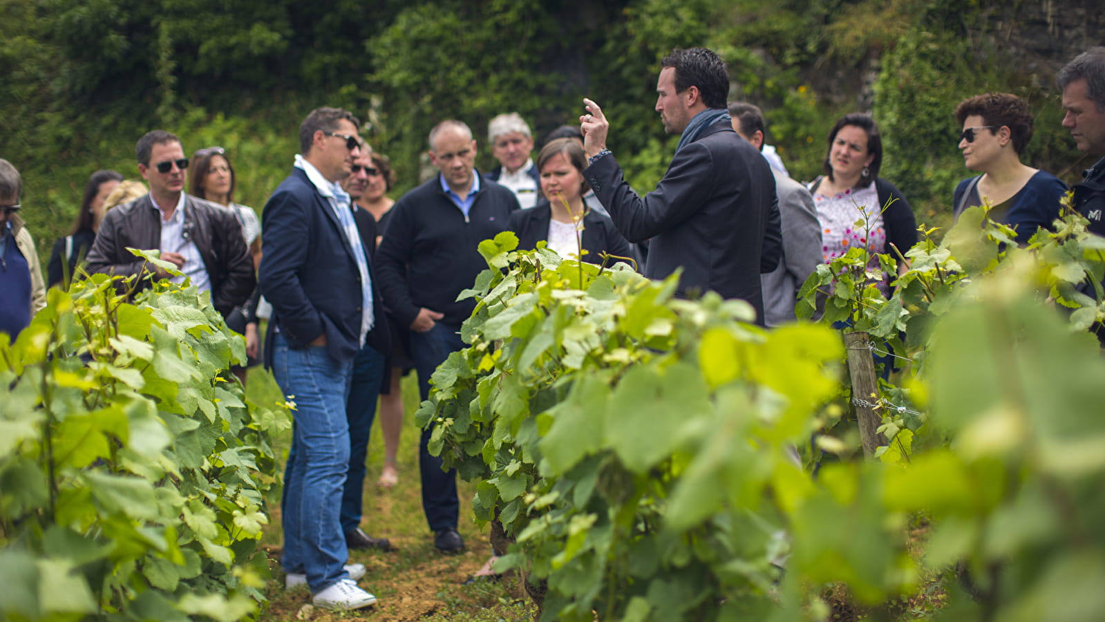 Journée découverte des vins de Bourgogne 